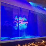 dirty dancing palais des sports