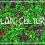 Mai 2023, le bilan culturel