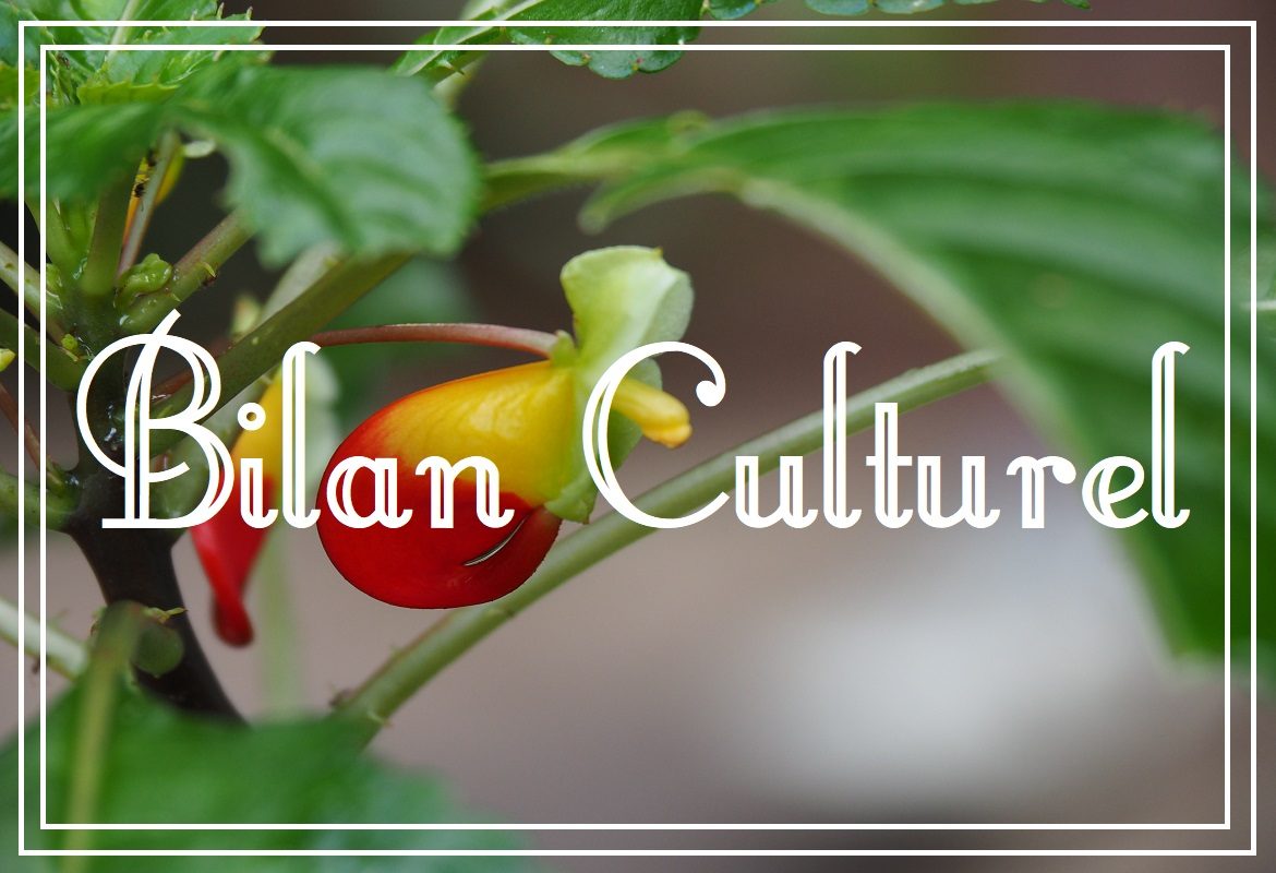 bilan culturel
