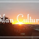 bilan culturel