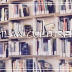 bilan culturel livres