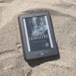 Travail soigne pierre lemaitre avis critique