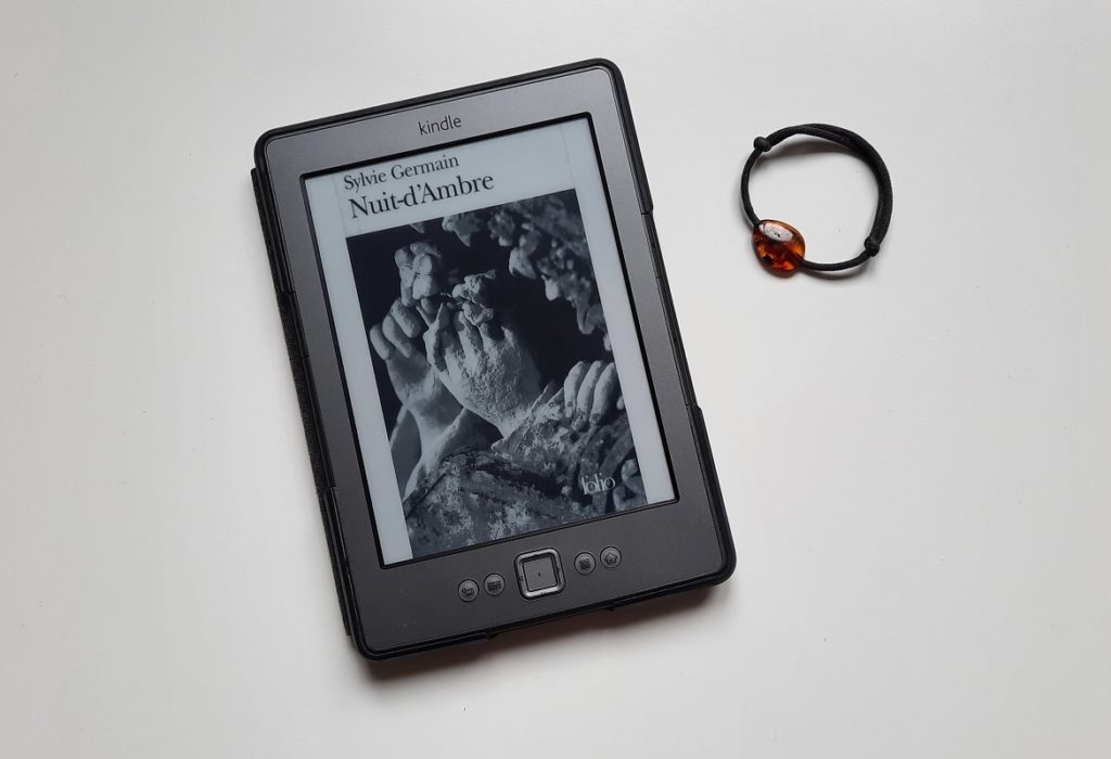 Nuit d'Ambre Sylvie Germain