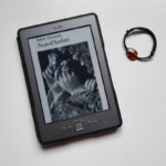 Nuit d'Ambre Sylvie Germain