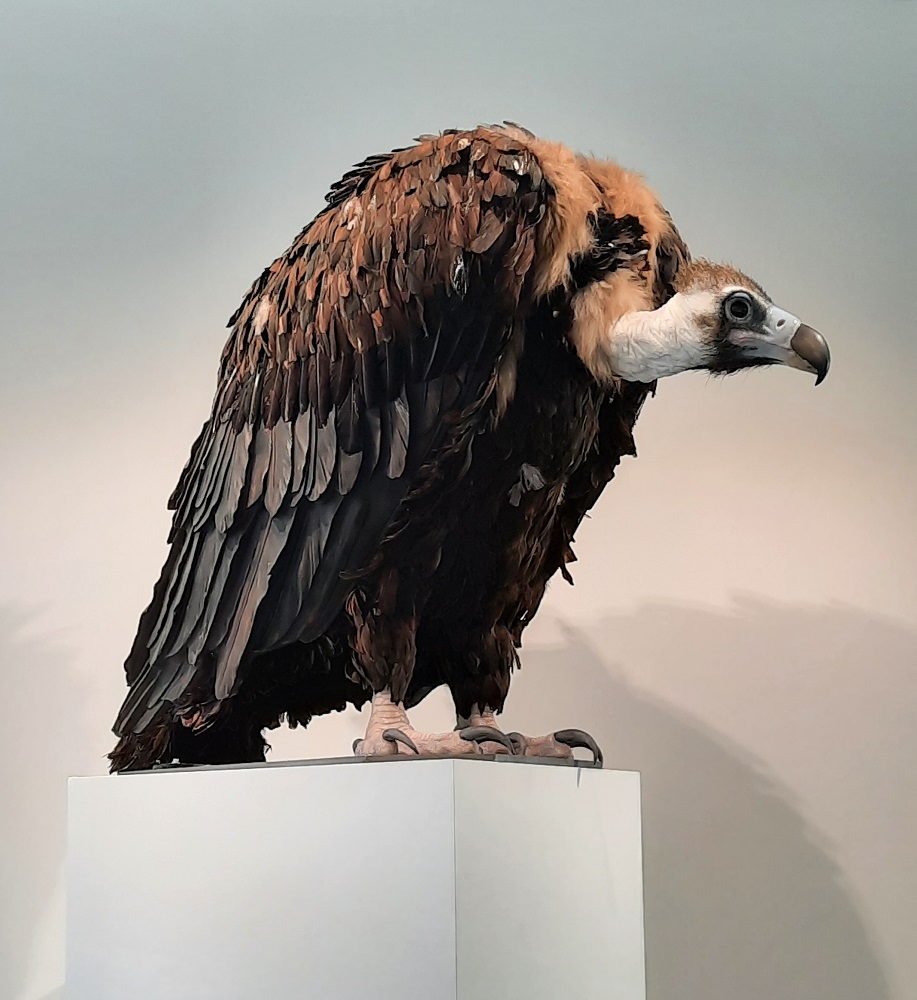 waiting sun yuan peng yu rennes