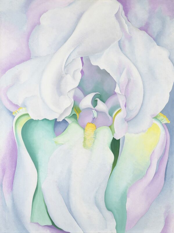 White Iris - Georgia O_Keeffe