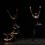 Noir et Blanc, danse au Théâtre du Capitole