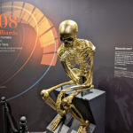 Memento mori à l'entrée de l'exposition Momies au Muséum de Toulouse