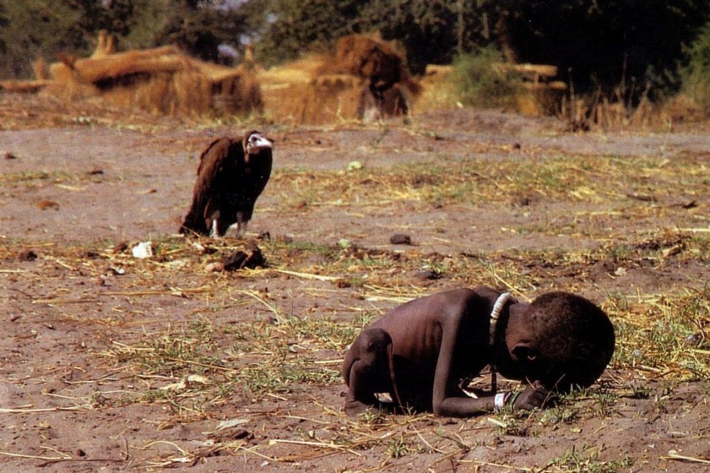 La Maison des Feuilles Kevin-Carter pulitzer