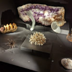 expo Les secrets de la terre