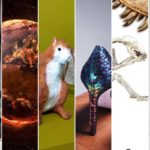 expos de la rentrée Toulouse 2023