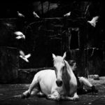 Falaise Baro d'evel © Francois Passerini