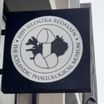 Musée Phallologique de Reykjavik © culture déconfiture