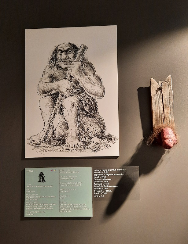 Musée Phallologique de Reykjavik © culture déconfiture