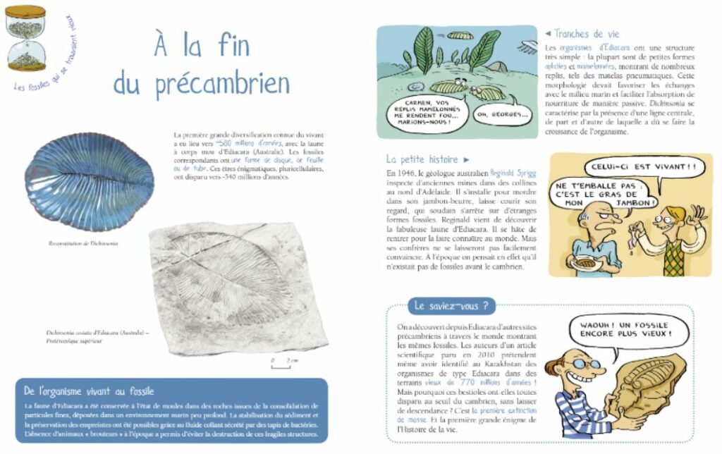 extrait de la bande-dessinée Les fossiles ont la vie de Martial Caroff, Benjamin Lefort et Mathieu Rotteleur