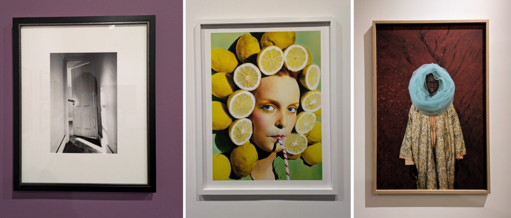 Abattoirs ouvrir les yeux © Culture déconfiture