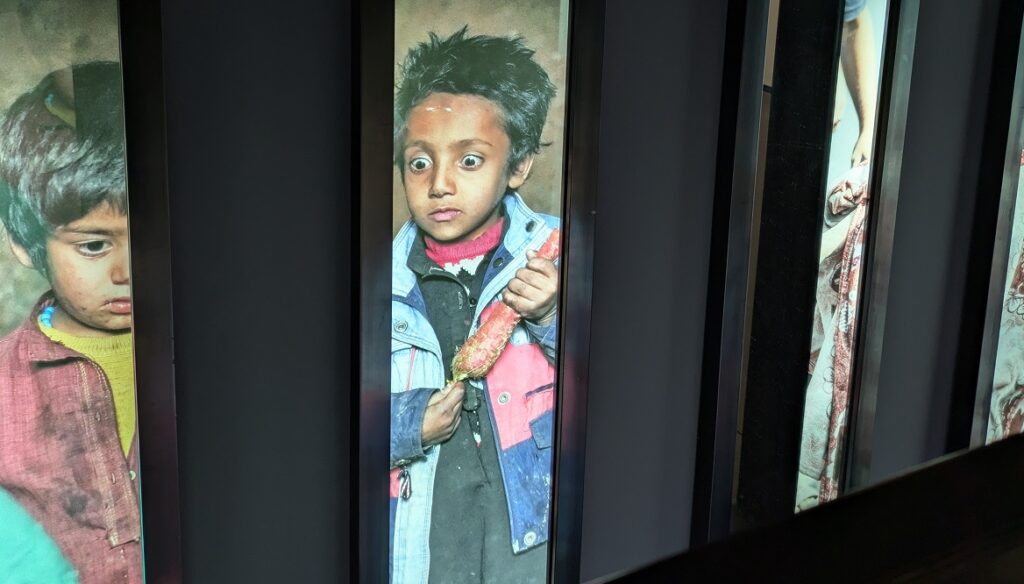 Abattoirs ouvrir les yeux © Culture déconfiture