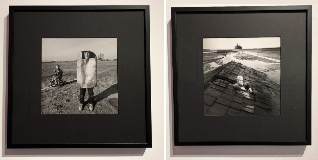 Abattoirs ouvrir les yeux © Culture déconfiture