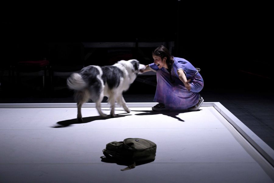 Ahouvi de Yuval Rozman © Frederic Lovino