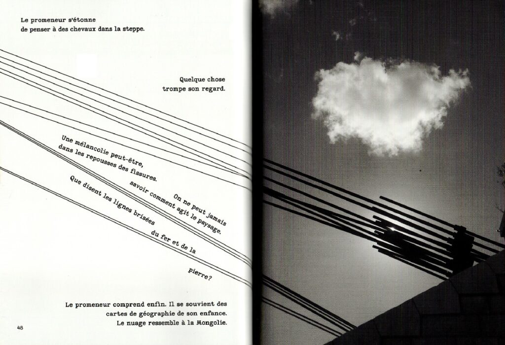 Les arbres écrivent aussi Dominique Boudou Cédric Merland