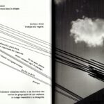 Les arbres écrivent aussi Dominique Boudou Cédric Merland