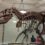L&rsquo;incroyable Musée d&rsquo;Histoire Naturelle de New York